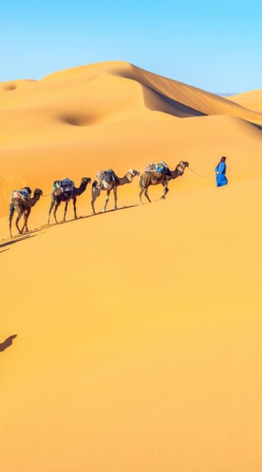 Camel Treks