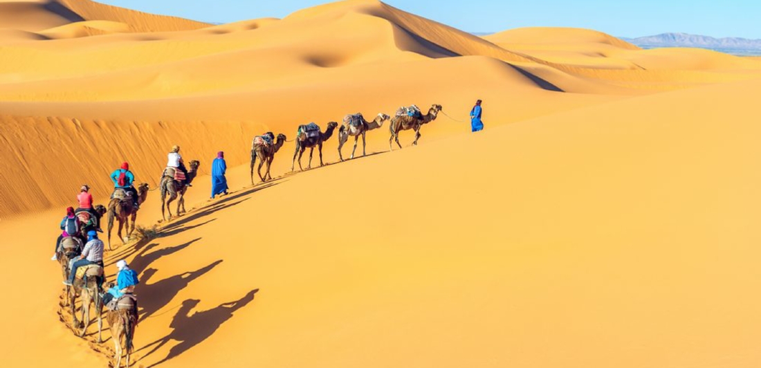 Camel Treks