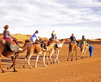 Tours from Fes