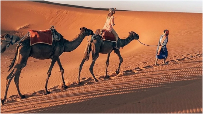 Private Tours in Morocco