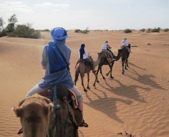 Marrakech Tour