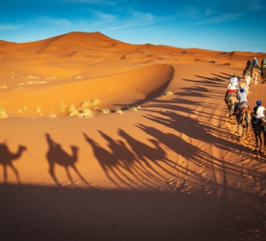 Morocco Tours